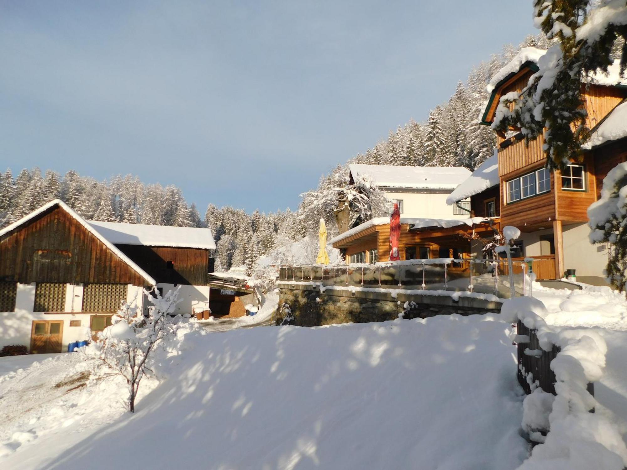 Gasthof Trattner Pension Waldhof Санкт-Петер-ам-Каммерсберг Экстерьер фото