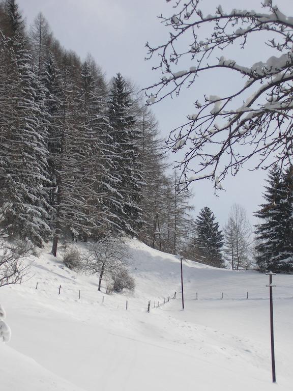 Gasthof Trattner Pension Waldhof Санкт-Петер-ам-Каммерсберг Экстерьер фото