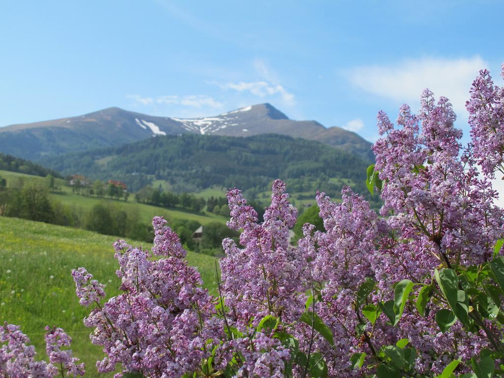 Gasthof Trattner Pension Waldhof Санкт-Петер-ам-Каммерсберг Экстерьер фото